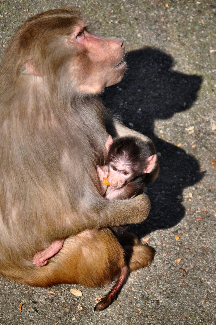 Mutter und Kind