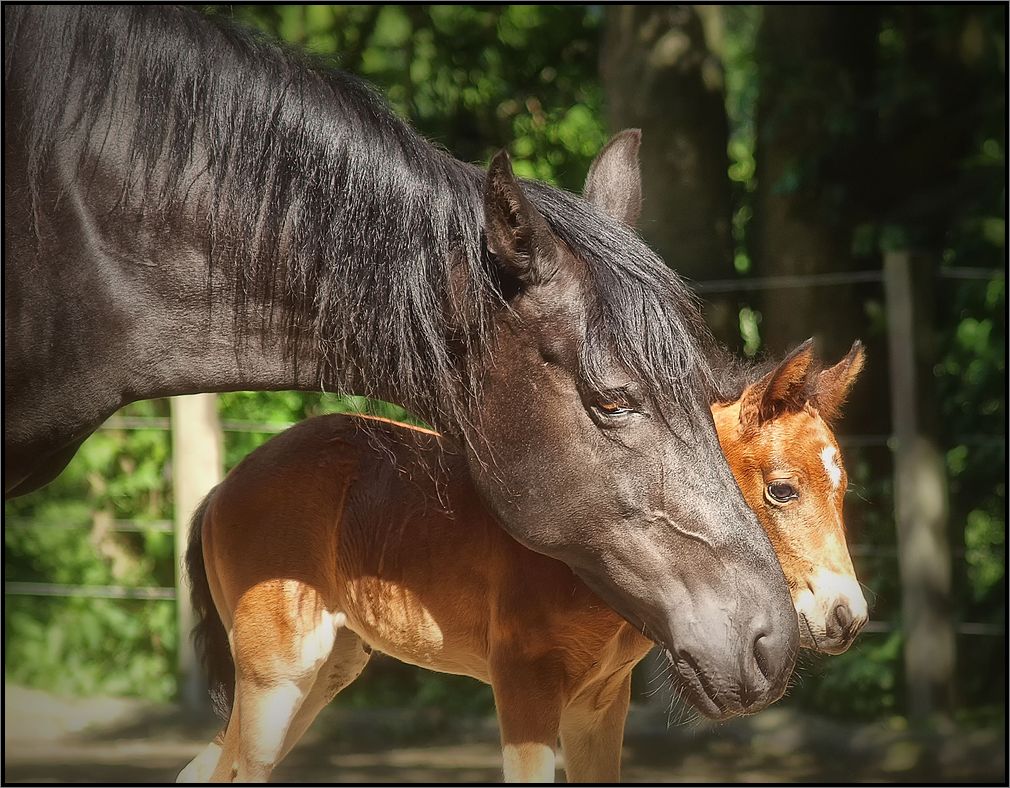 - Mutter und Kind -