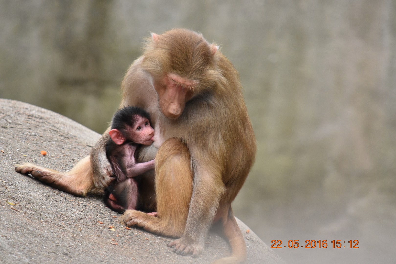 Mutter und Kind