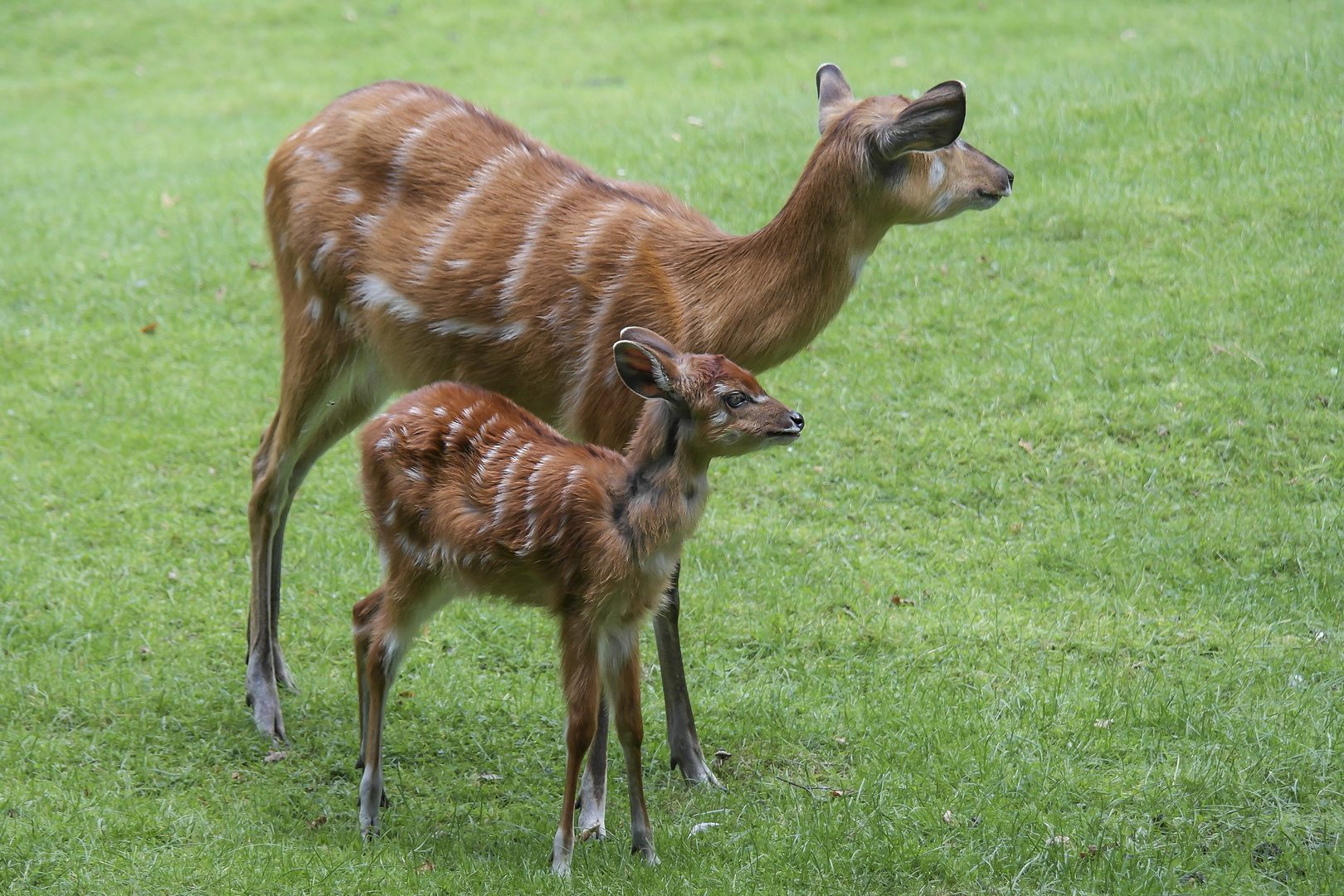 Mutter und Kind