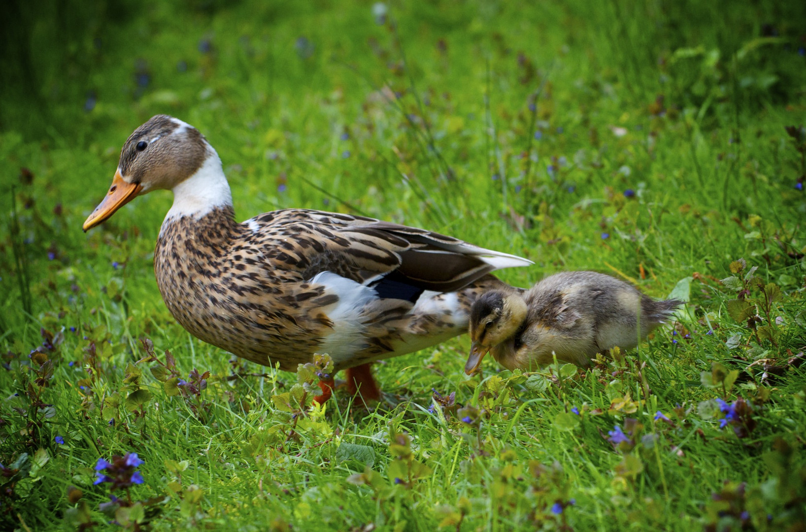 Mutter und Kind