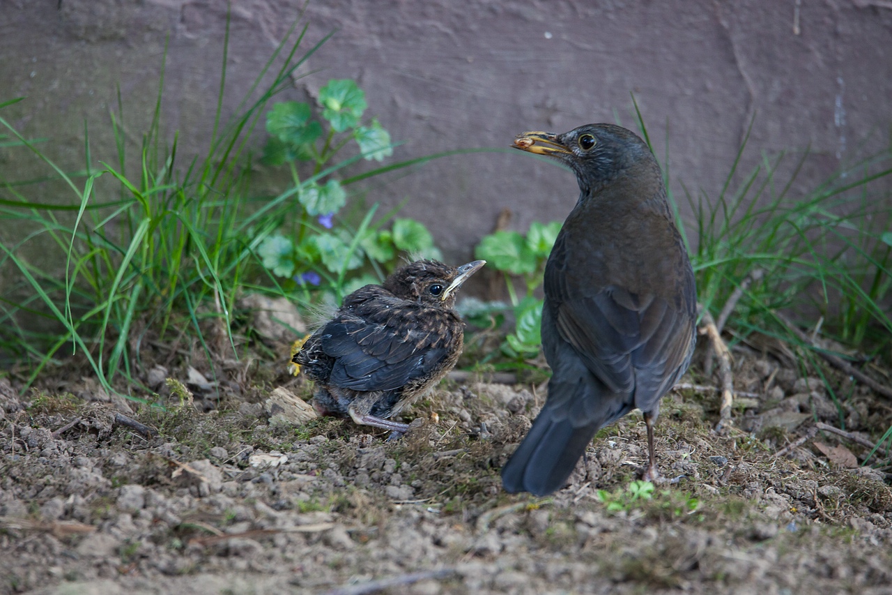 Mutter und Kind