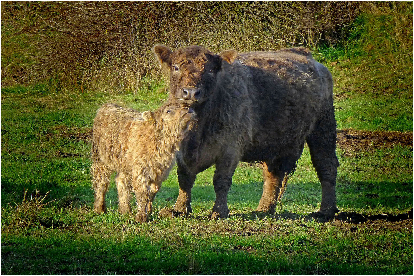 Mutter und Kind