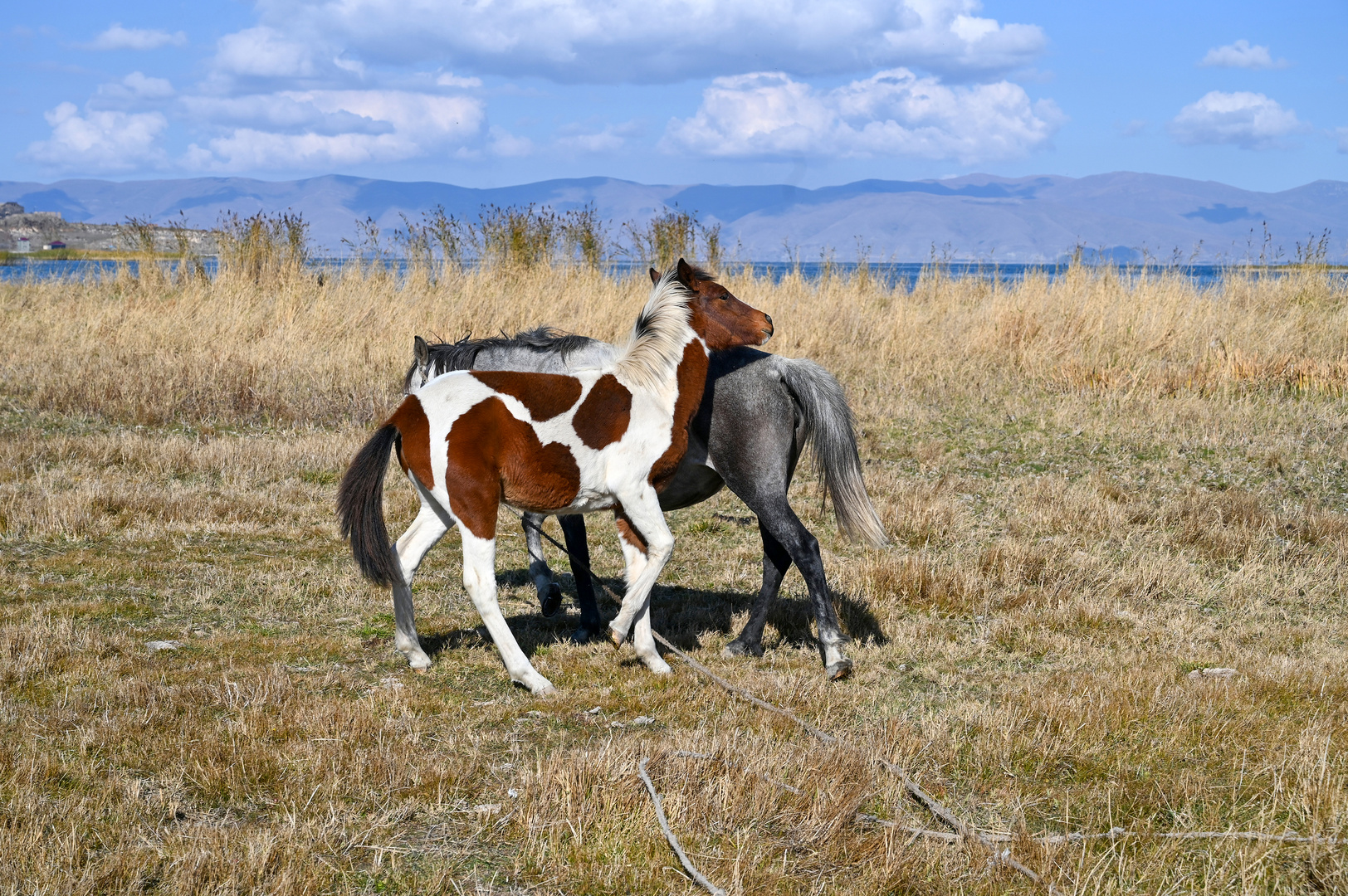 Mutter und Kind am Sevan-See 02