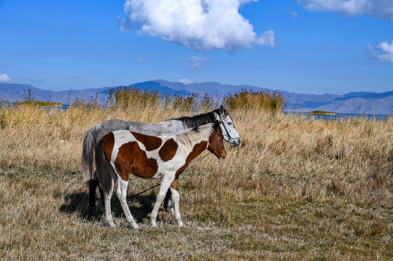 Mutter und Kind am Sevan-See 04