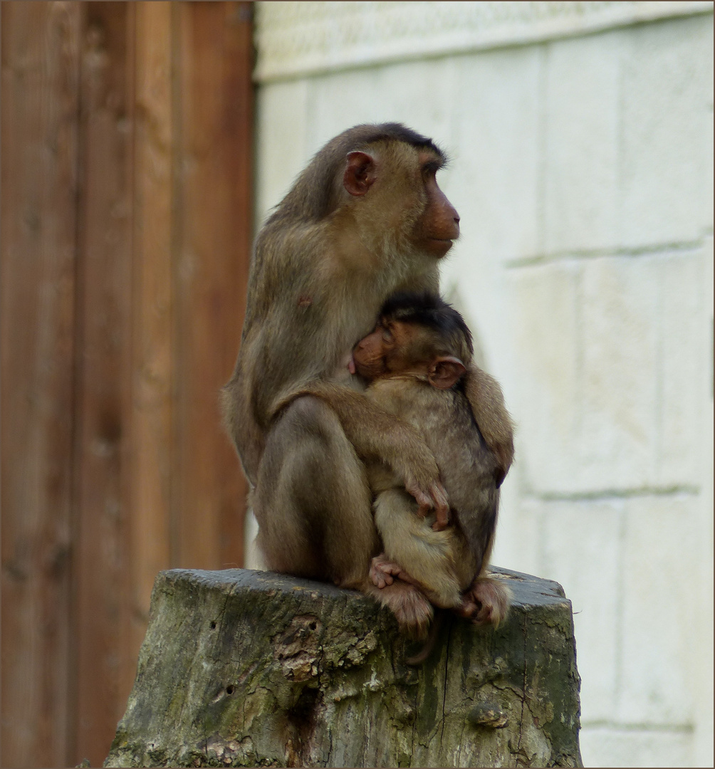 Mutter und Kind 