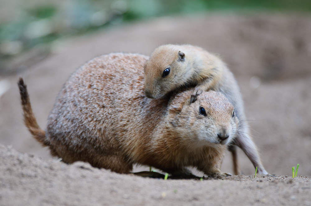 Mutter und Kind