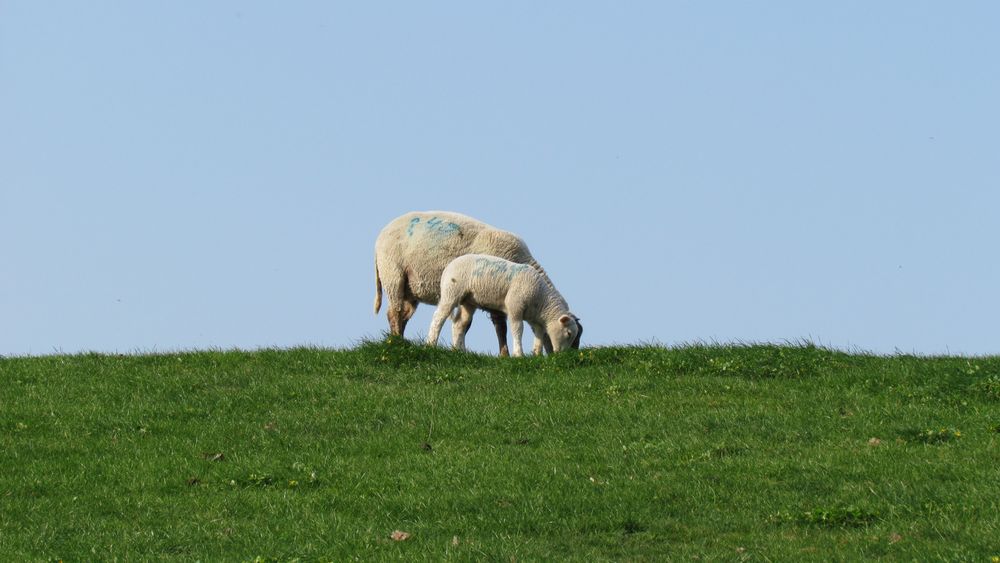 Mutter und Kind - Ostersommer 2011