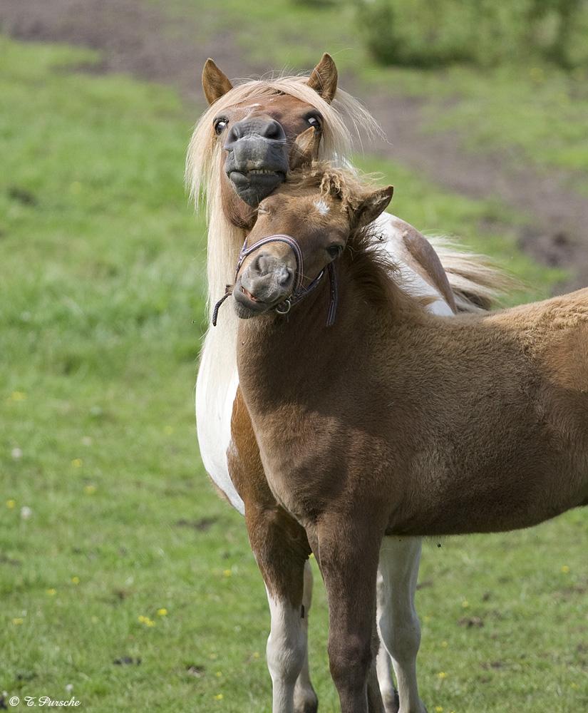 Mutter und Sohn