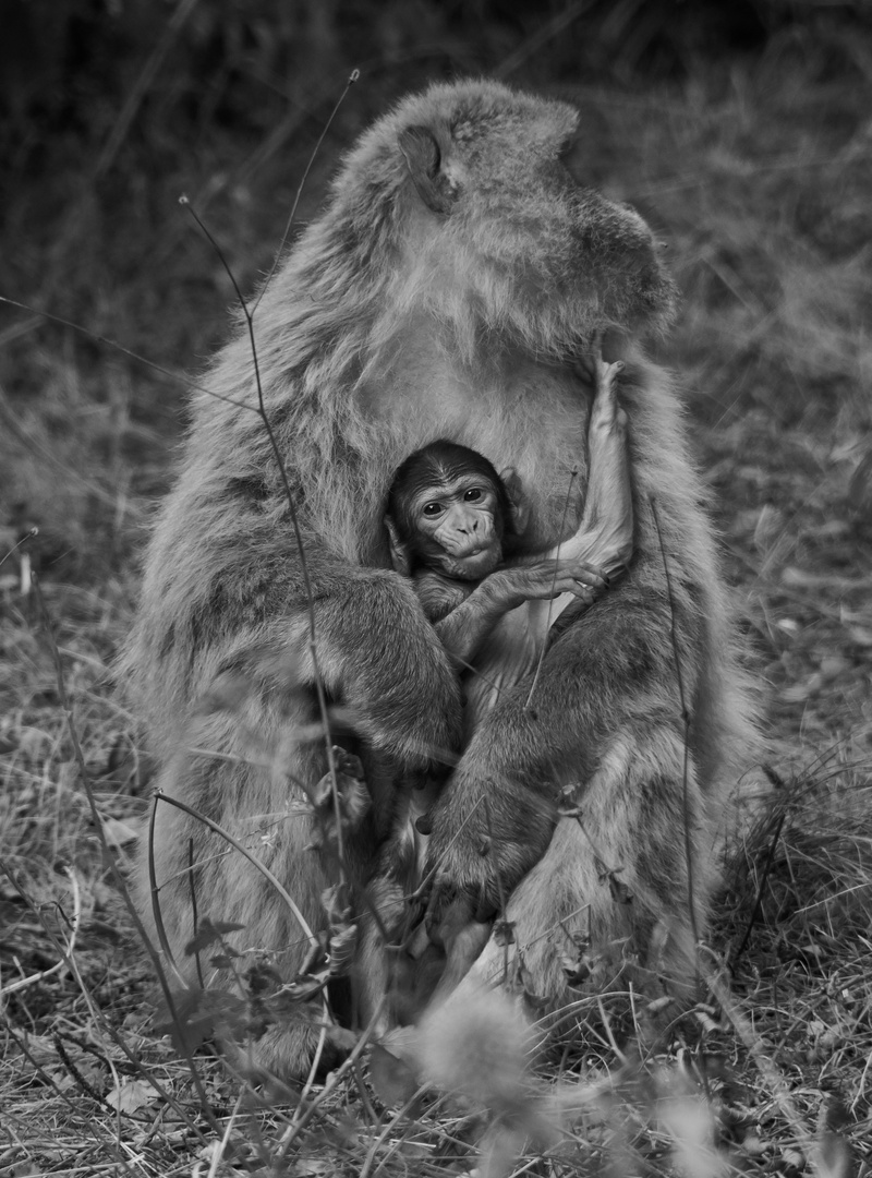 Mutter und Sohn