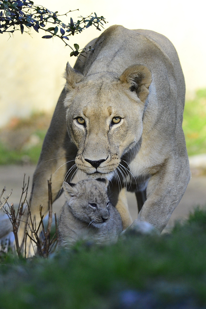 Mutter und Sohn