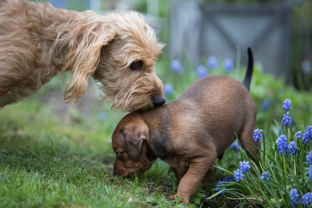 Mutter und Sohn