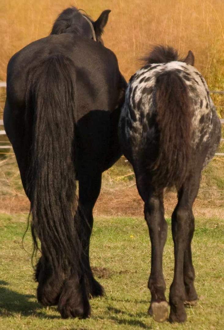 Mutter und Sohn