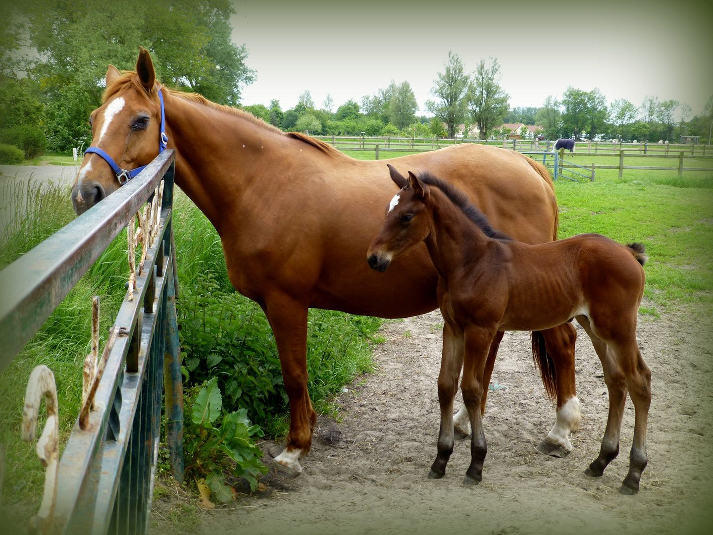 Mutter und Sohn