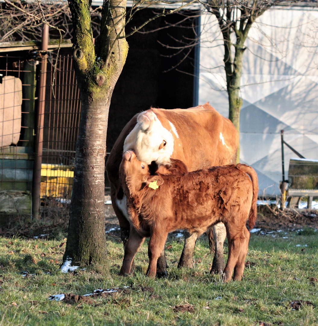 Mutter und Sohn