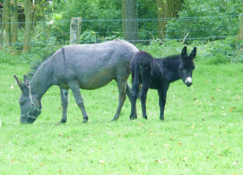 Mutter und Sohn