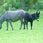 Mutter und Sohn