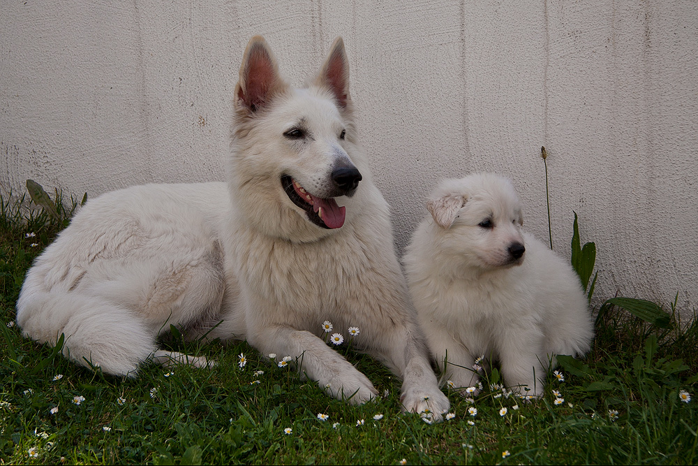 Mutter und Sohn