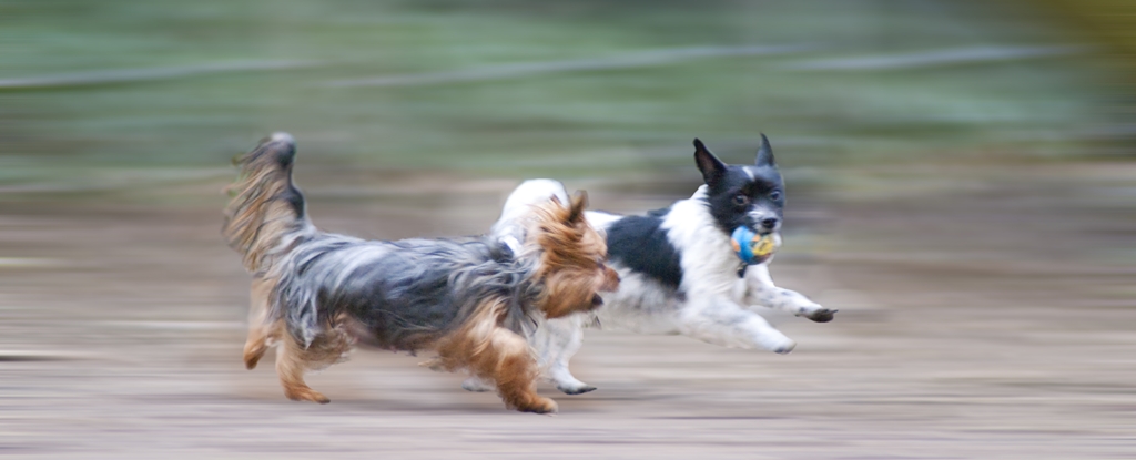 Mutter und Sohn @ High Speed