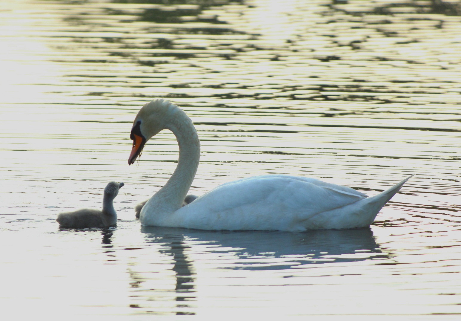 Mutter und Sohn sind wieder vereint 