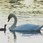 Mutter und Sohn sind wieder vereint 