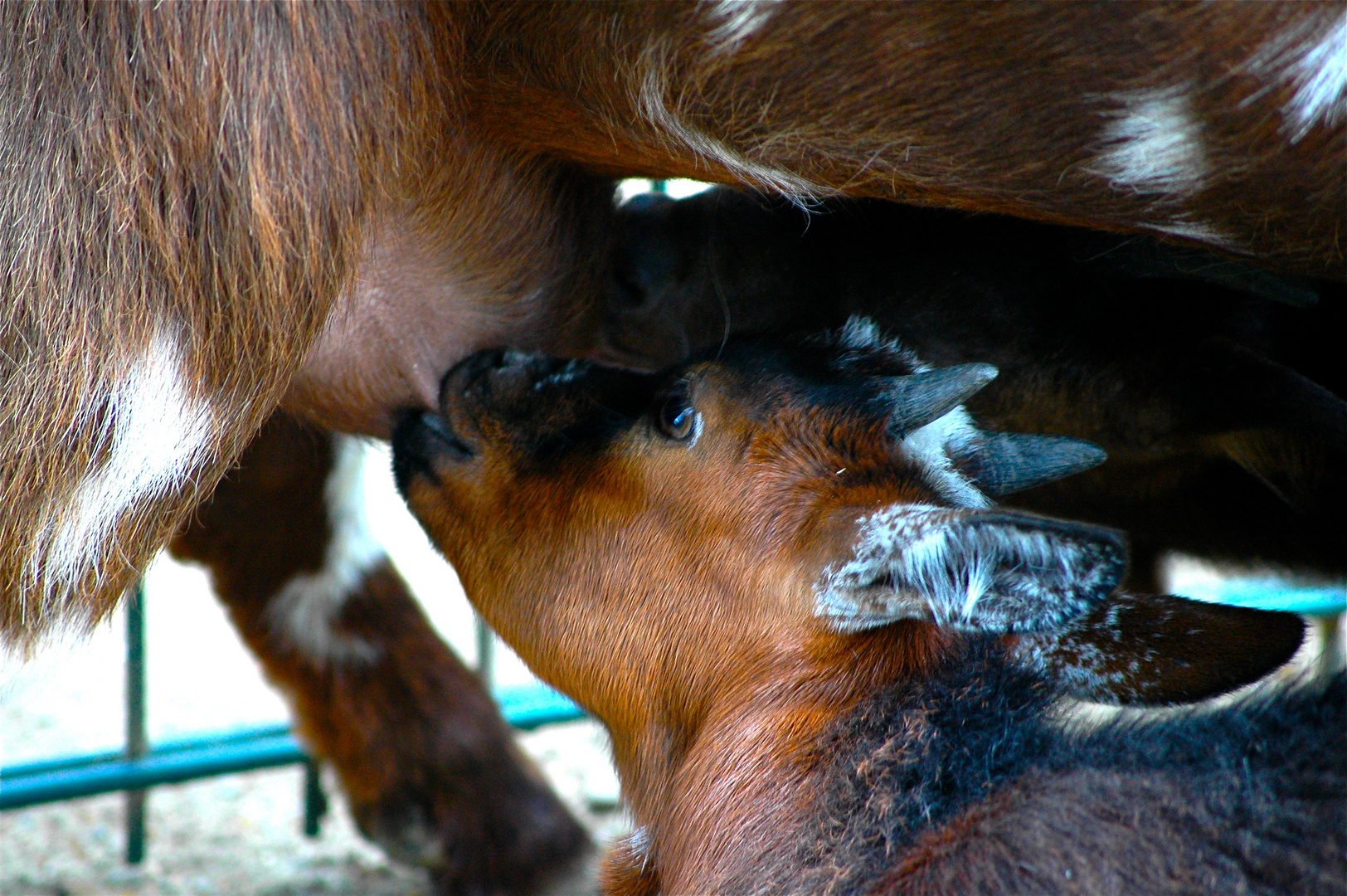 Mutter und Tochter