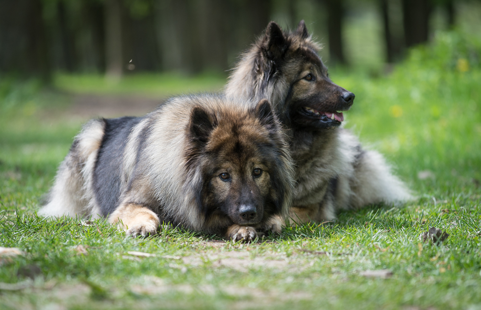 Mutter und Tochter