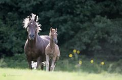 Mutter und Tochter