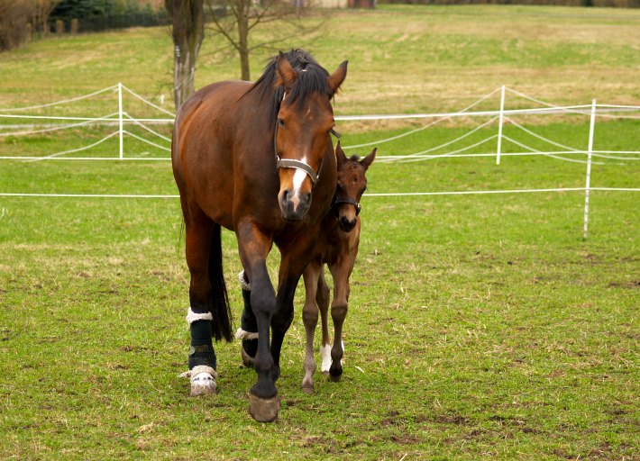 Mutter und Tochter