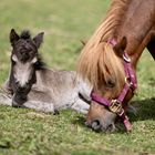 Mutter und Tochter