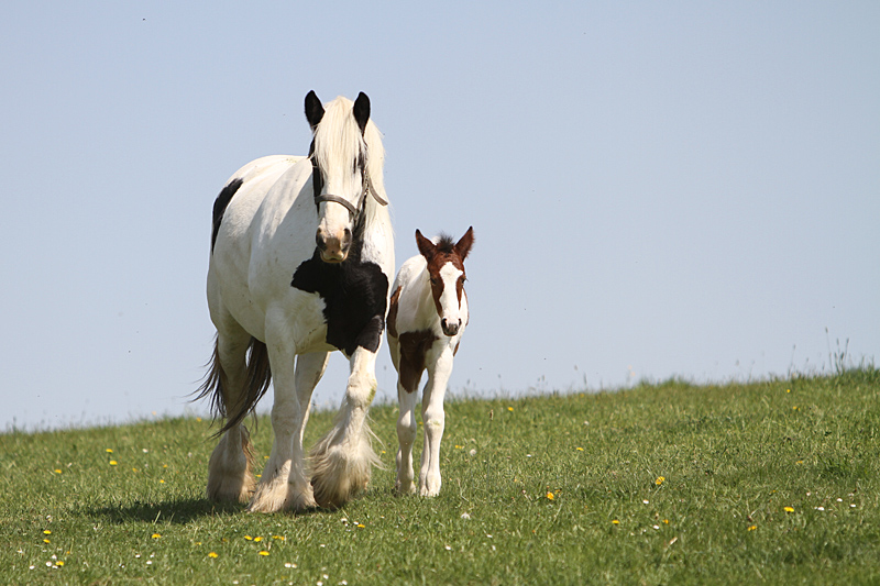 Mutter und Tochter