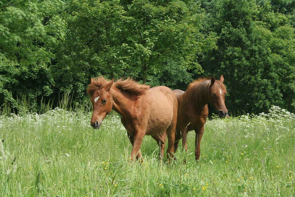 Mutter und Tochter