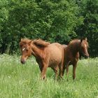 Mutter und Tochter