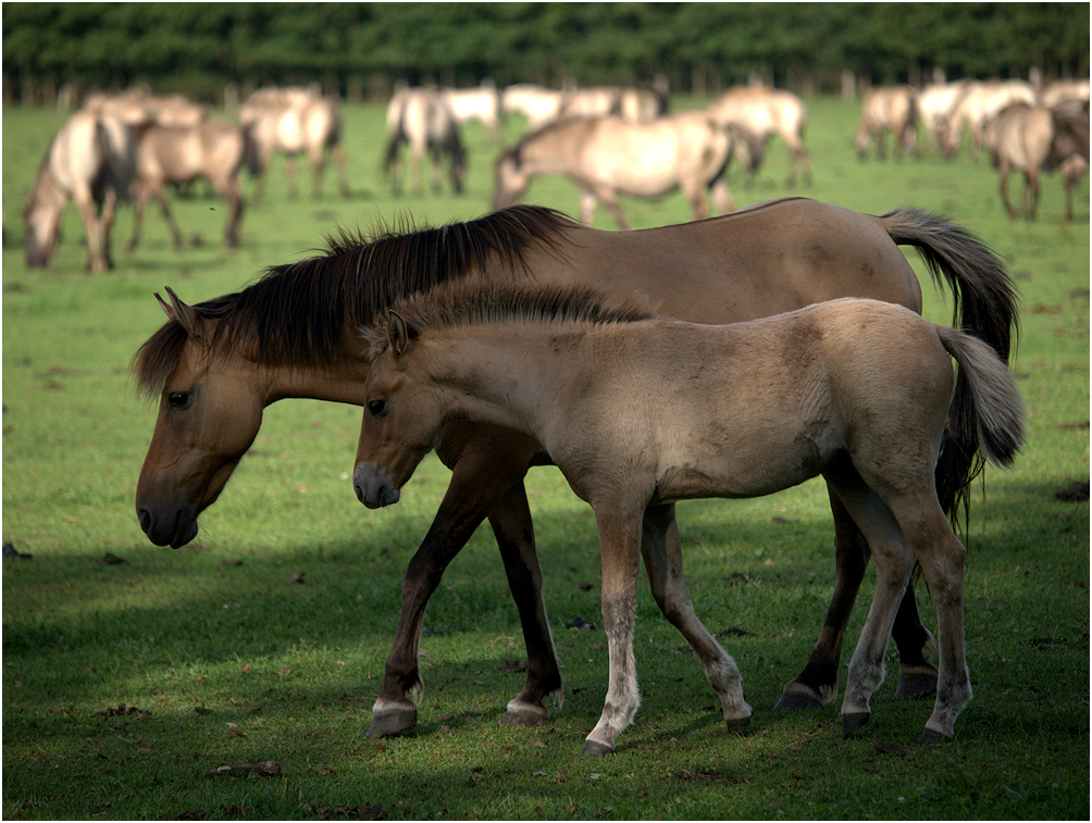 Mutter und Tochter