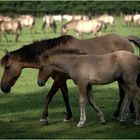 Mutter und Tochter