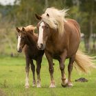 Mutter und Tochter...