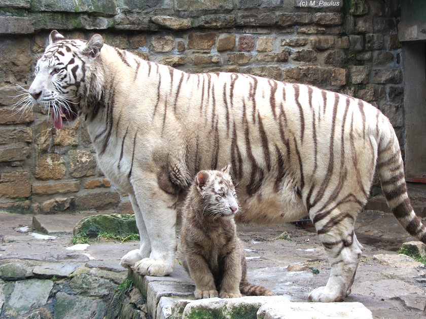 Mutter und Tochter