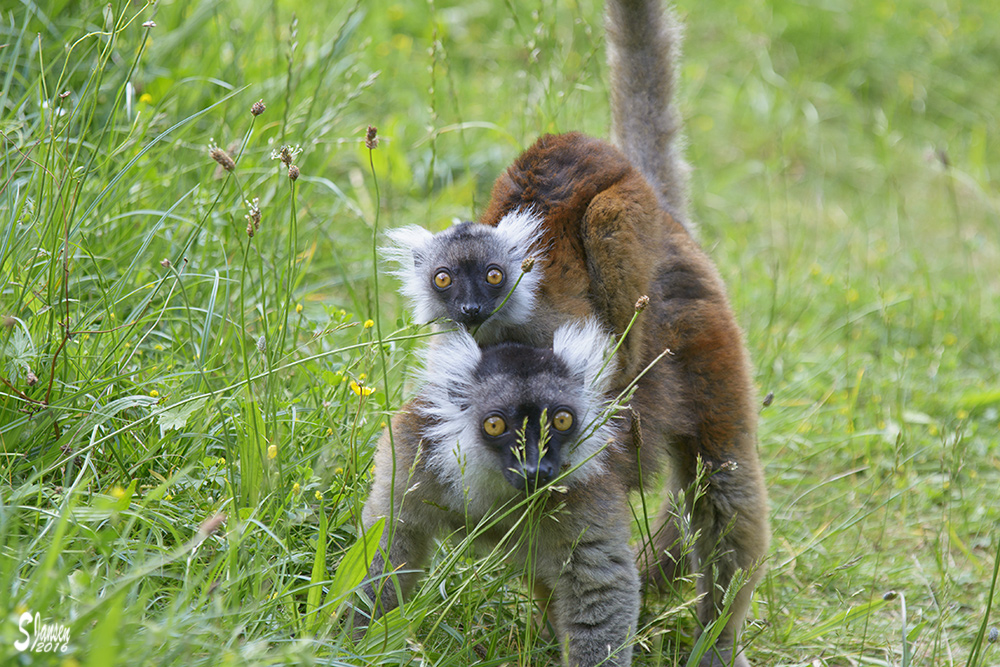 Mutter und Tochter