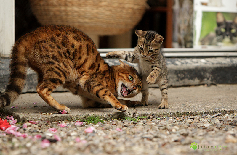 Mutter und Tochter