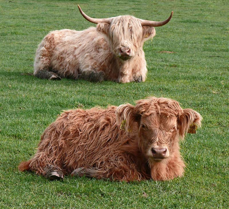 Mutter und Tochter