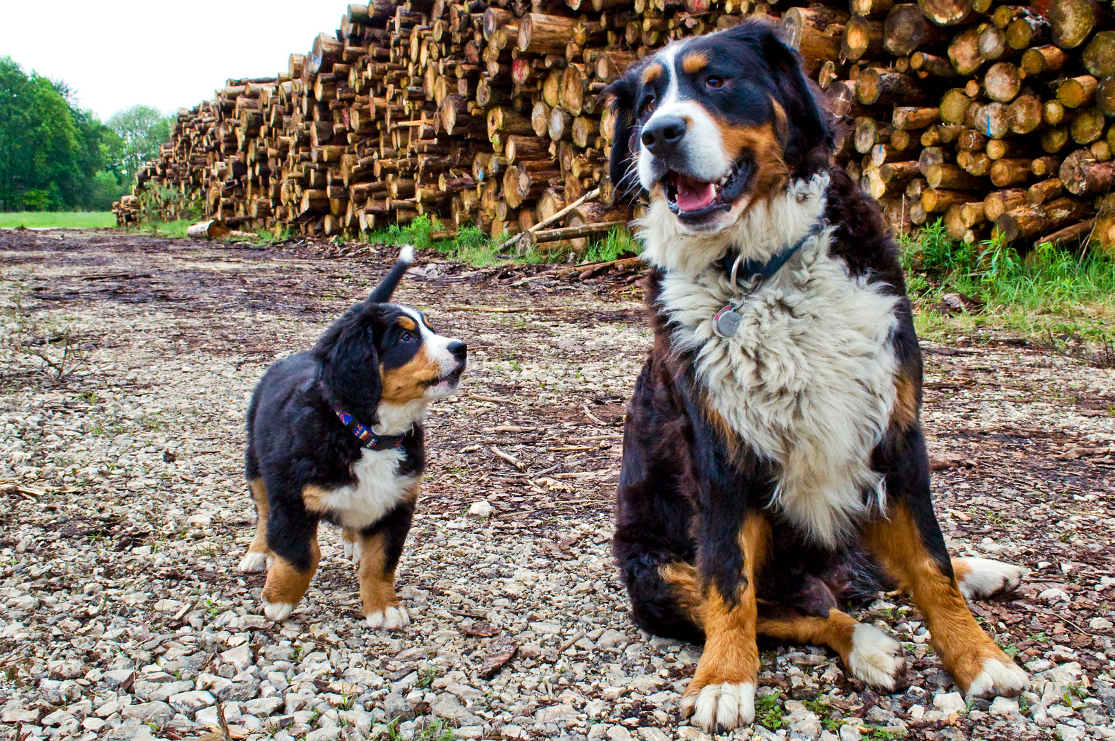 Mutter und Tochter