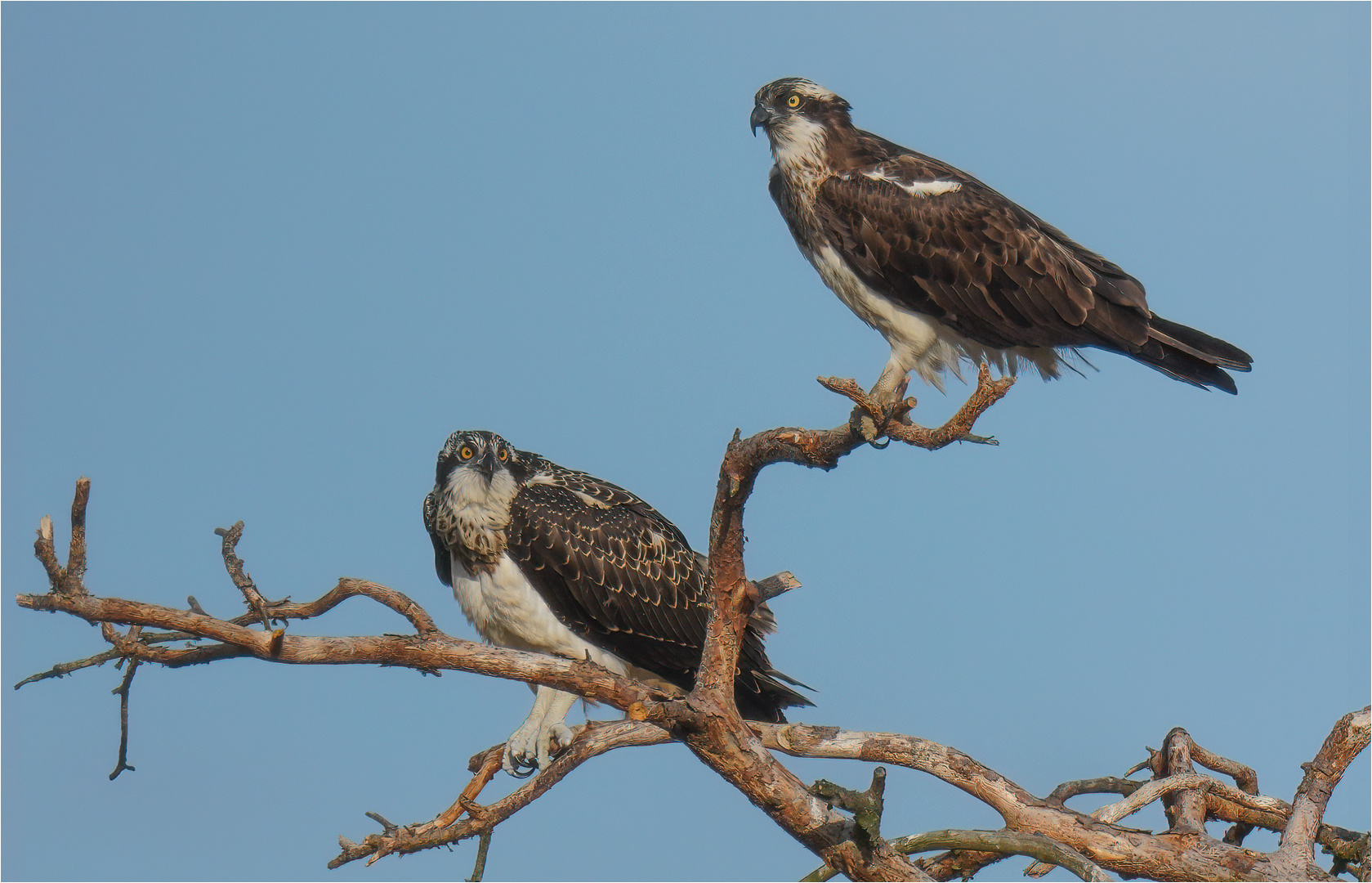 Mutter und Tochter