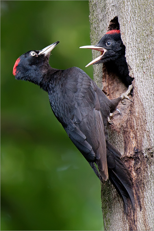 ~ Mutter und Tochter ~