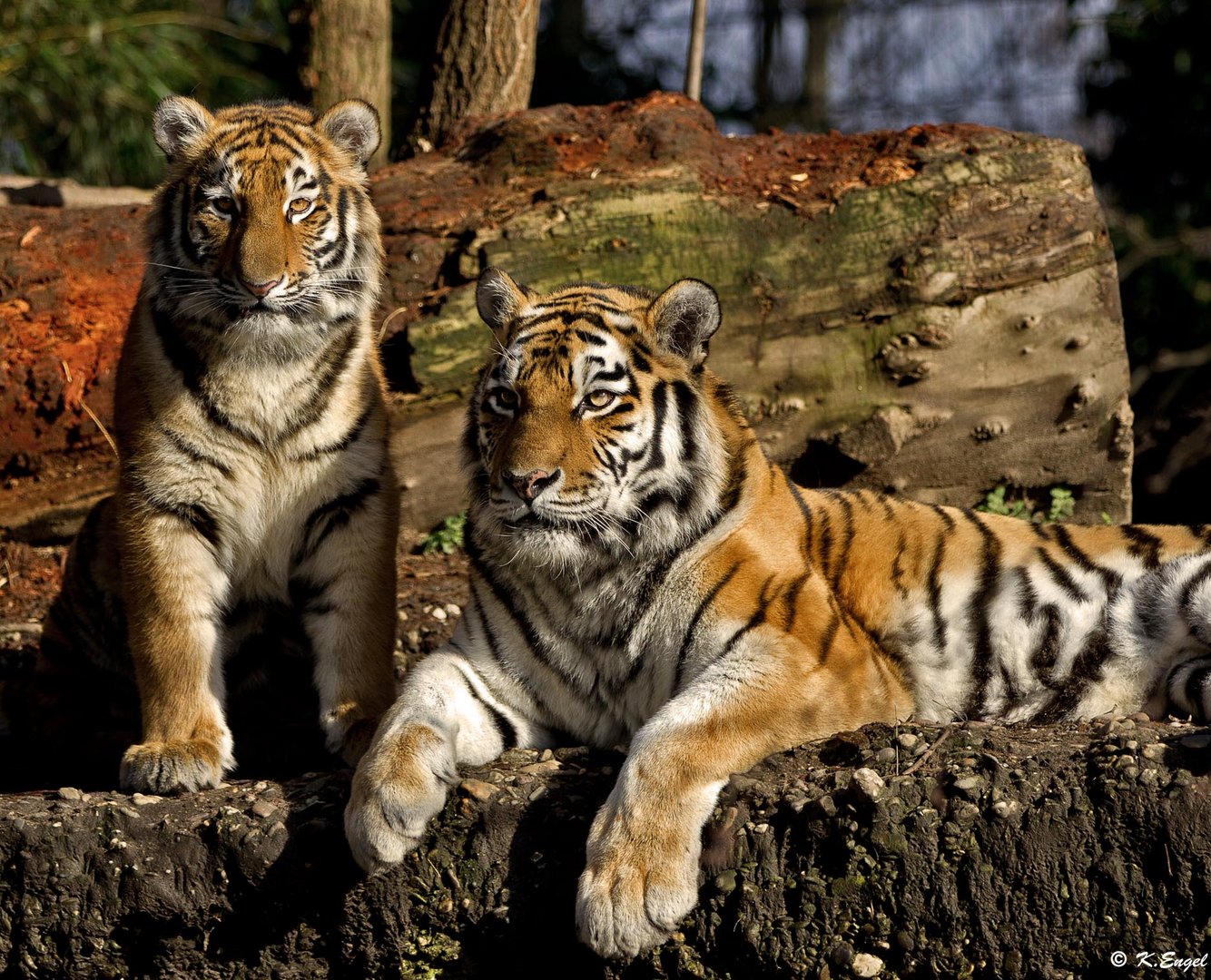 Mutter und Tochter