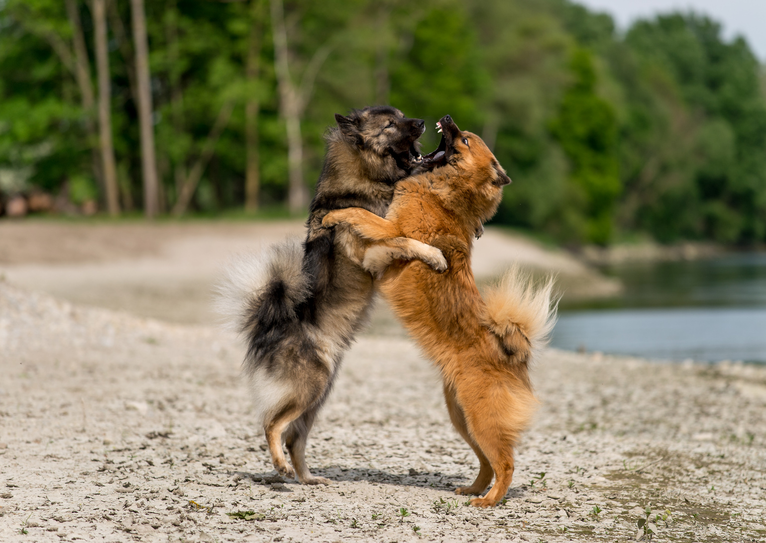 Mutter und Tochter Arm in Arm