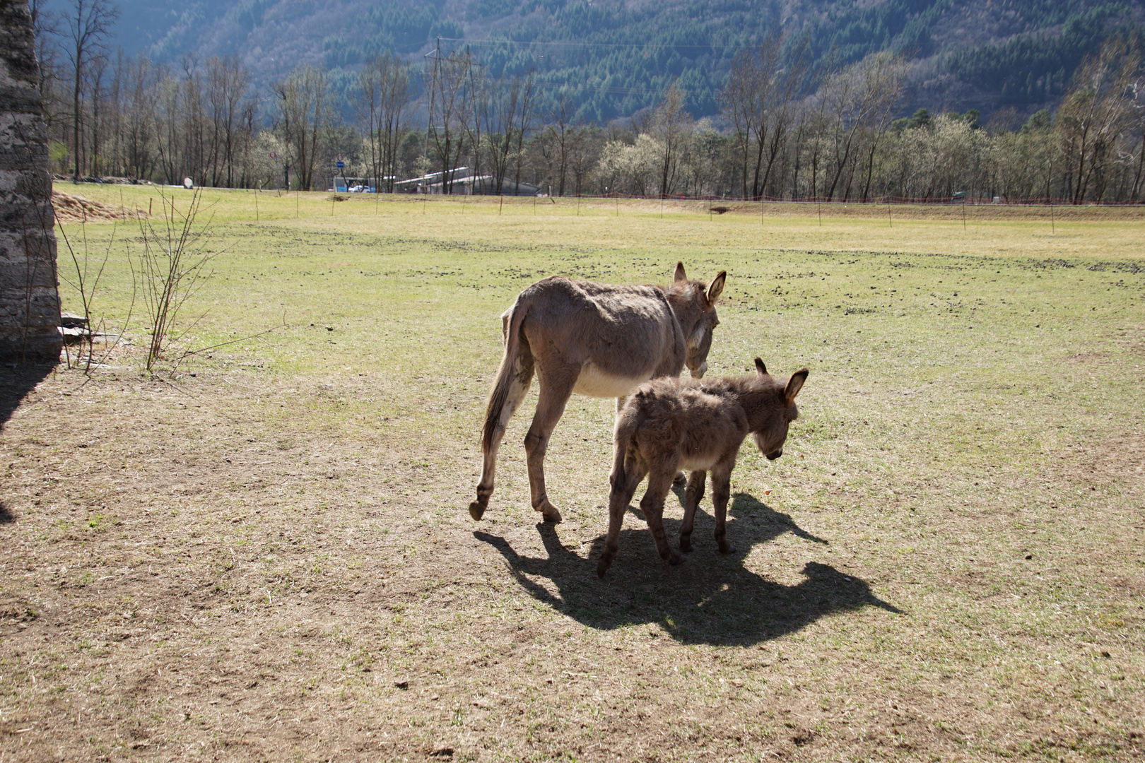 Mutter und Tochter auf der Suche nach Schatten