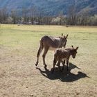 Mutter und Tochter auf der Suche nach Schatten