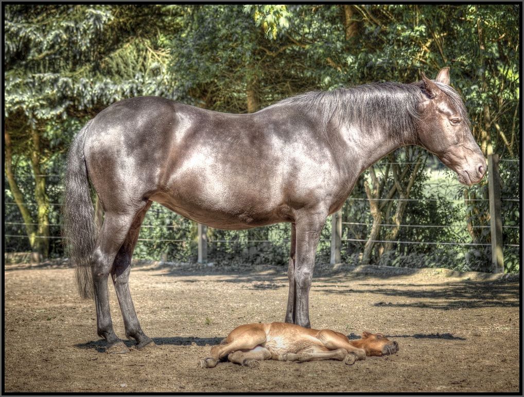 Mutter und Tochter