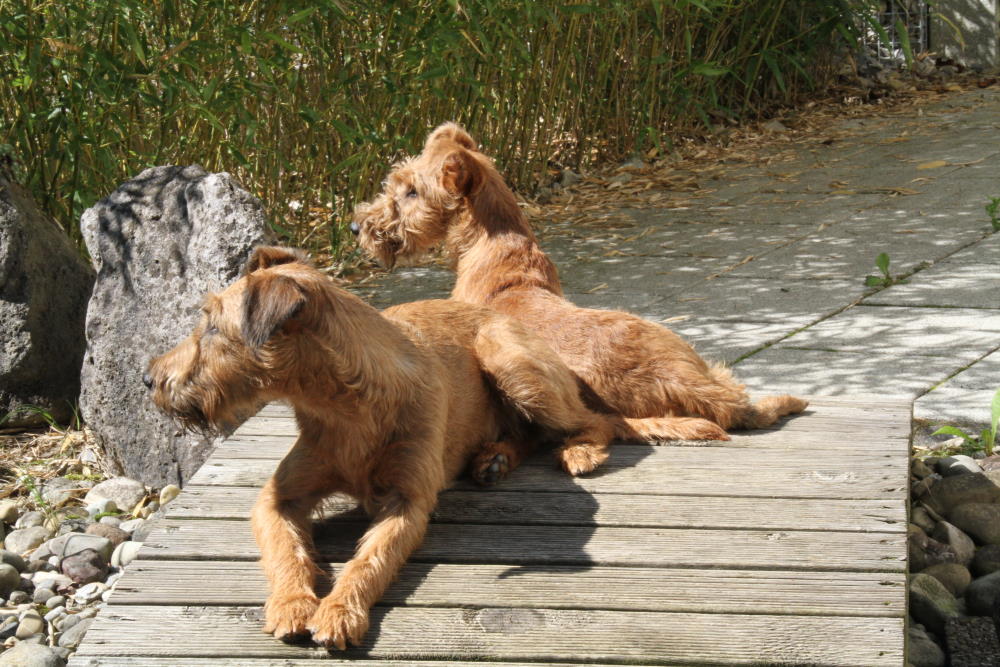 Mutter und Tochter