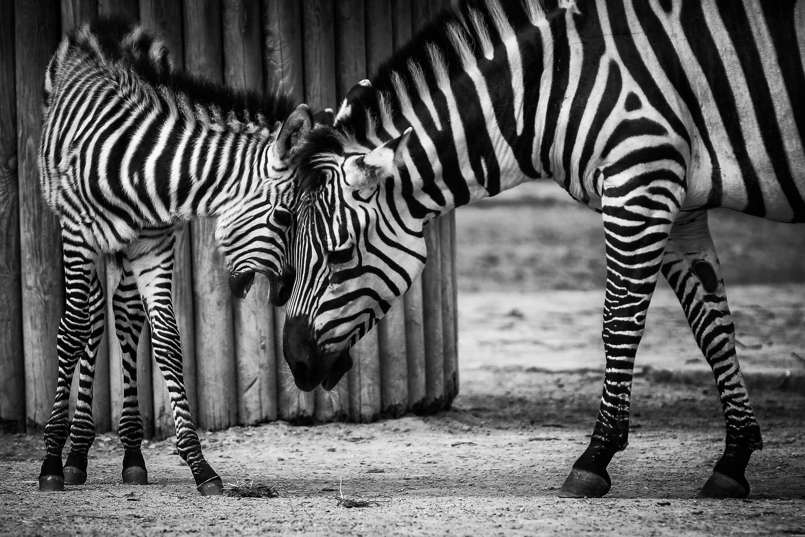 Mutter und Tochter